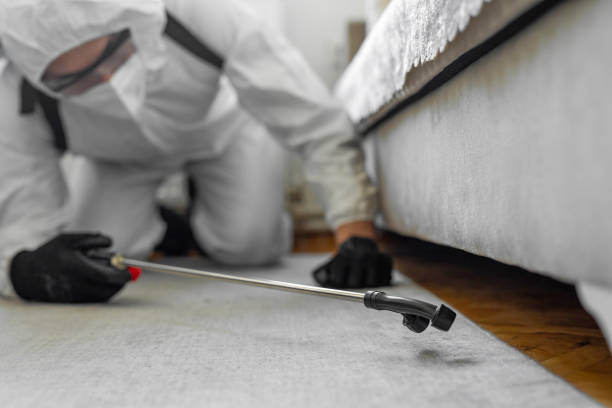 Professional Termite Control technician working in Minorca, LA